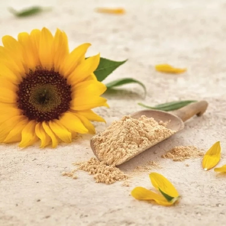 China Stock Sunflower Lecithin 95% 98% Sunflower Lecithin Powder