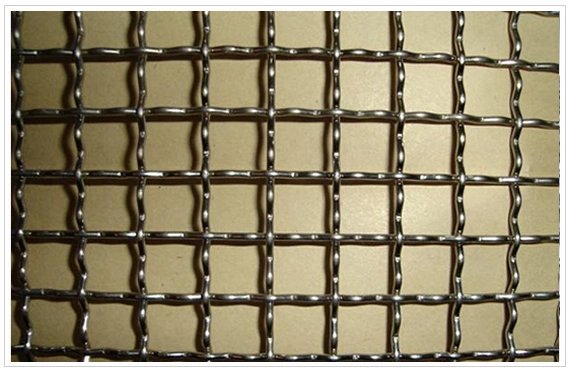 Electro Galvanized Iron Square Wire Mesh Netting (anjia-609) for Sale