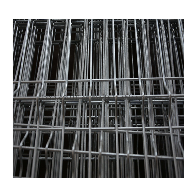 China Manufacture Building Material Electro Galvanized Welded Wire Mesh (TYB-0074)