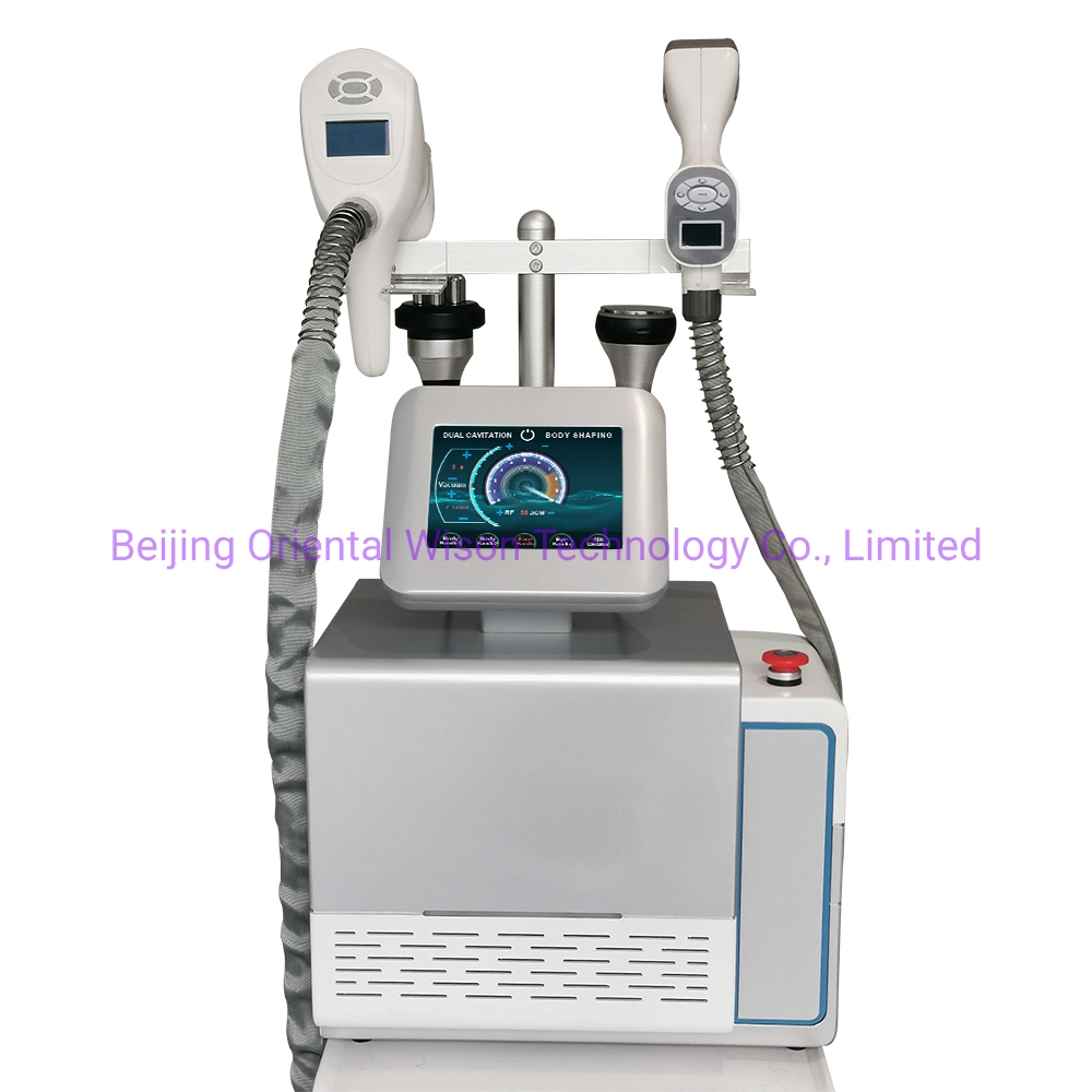 Vacuum Roller Frozen Skin Slimming Fat Cellulite Machines Cavitation Weight Loss Machine for Sale