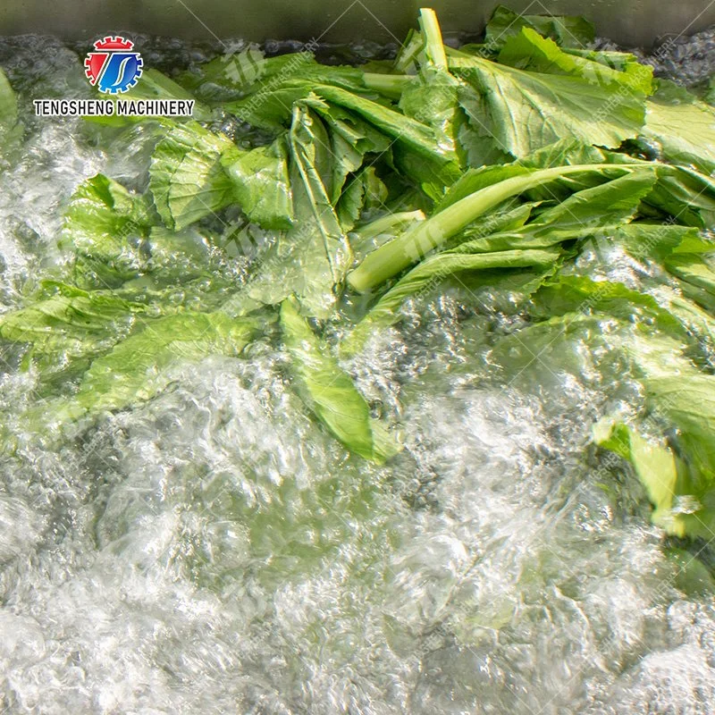 Industrial automático de alimentos de frutas verduras Ozono burbuja de lavadora ultrasónica Lavadora de jengibre y yuca TS-X300