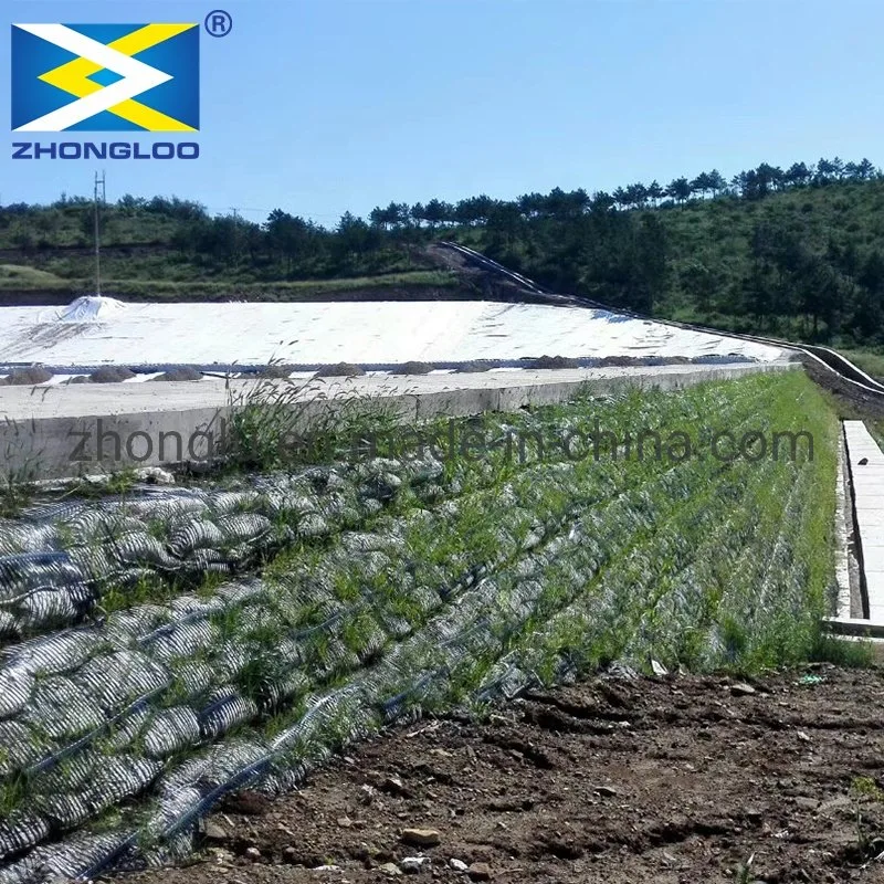 Zhonglu Factory Price Plastic PP Biaxial Uniaxial Geogrids for Construction