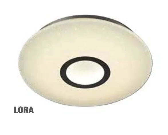 Low Price Ceiling Lighting with LEDs / Energy Saving Entry Light with Acrylic Shade