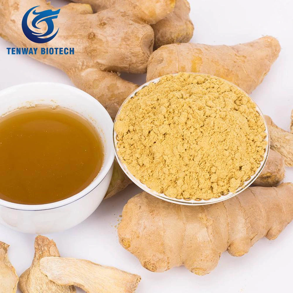 High Quality Food Ingredient Herbal Extract Food Ingredient Raw Ginger Powder