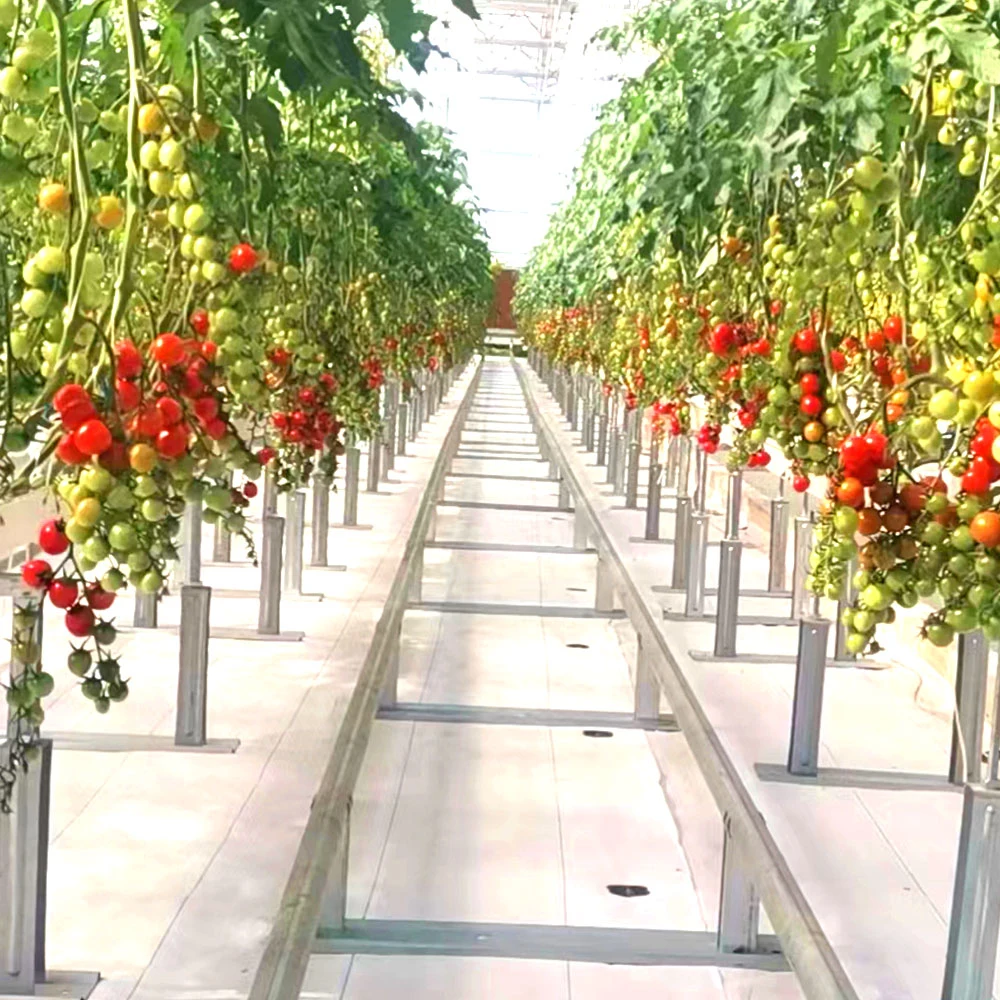 Los fabricantes una nutrición balanceada Nft canales PVC sistemas hidropónicos con canalización de la bomba para jardín invernadero cine