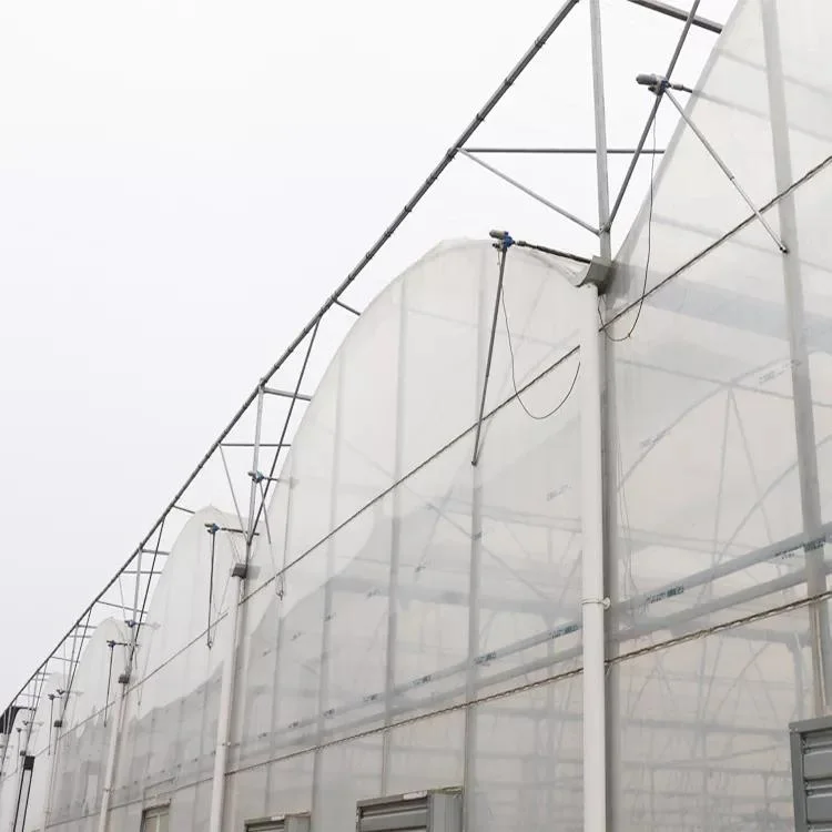 High quality/High cost performance Agricultural UV Protection Mulch Plastic Roll Poly Film Greenhouse