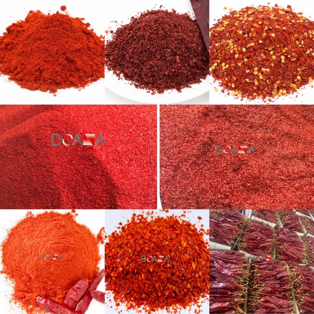 Pimentón especias secas naturales chino rojo condimento chili en polvo