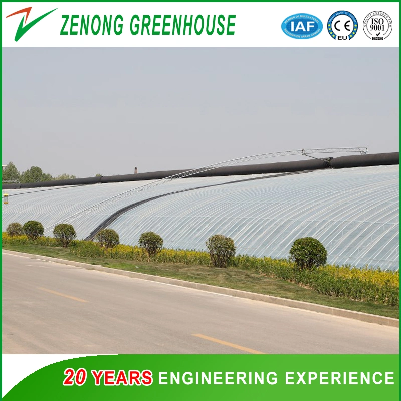 Modern Advanced Solar Greenhouse Sunlight Green House Seed Breeding Greenhouses with Intelligent Control System Automatic Sprinkler for Modern Agriculture