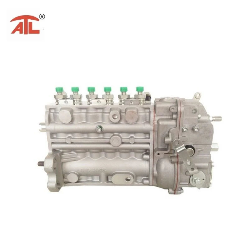 Fuel Injection Pump (10400866082 CPES6A80D410RS2167) for Diesel Engine F6l912
