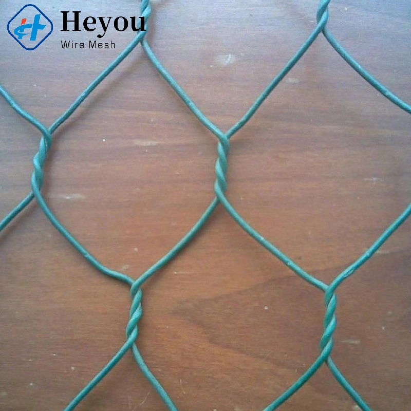 Specialized Production Plastic Black PVC Hexagonal Chicken Wire Mesh