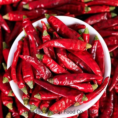 Hot Selling Dry Chilli/Chaotian Chilli in China