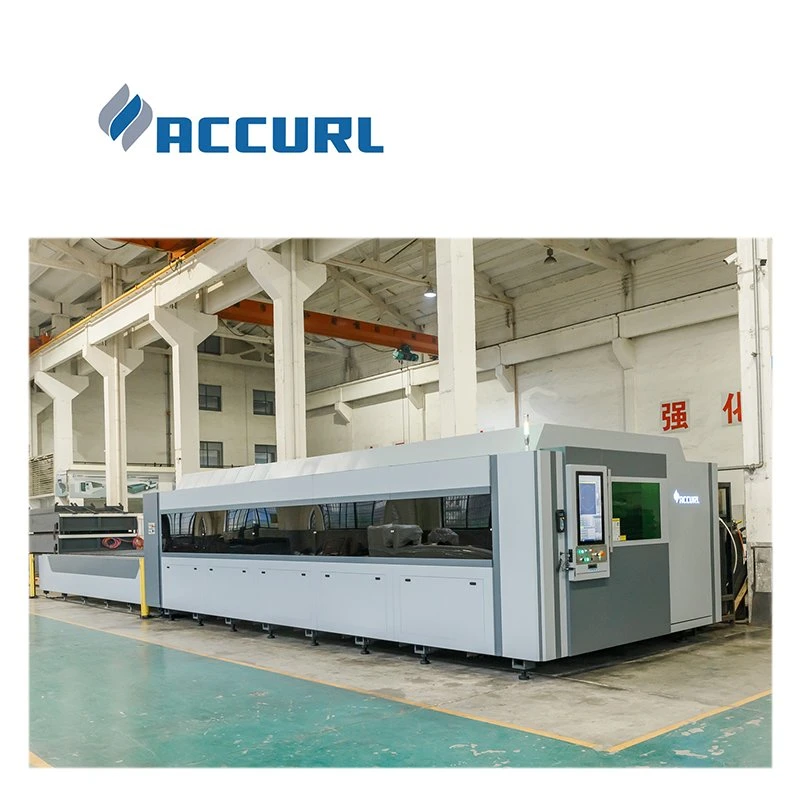 Accurl High-Efficient metal de hierro de acero CNC Máquina de corte láser de fibra con los alemanes de láser de fibra de IPG