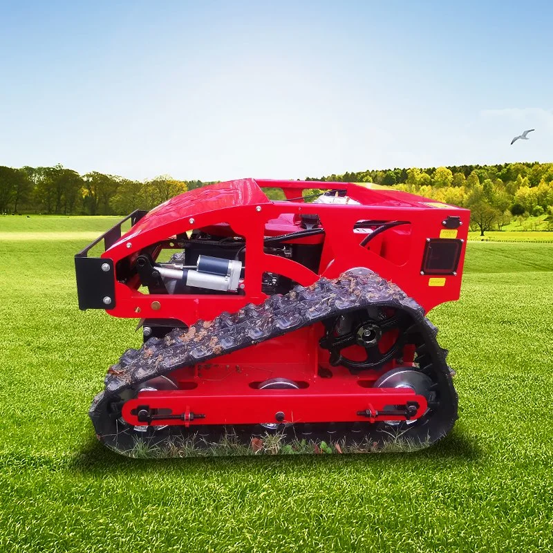 Garden Grass Trimmers Flail Mower Gasoline 4-T Robotic Cart Lawn Mower for Sale