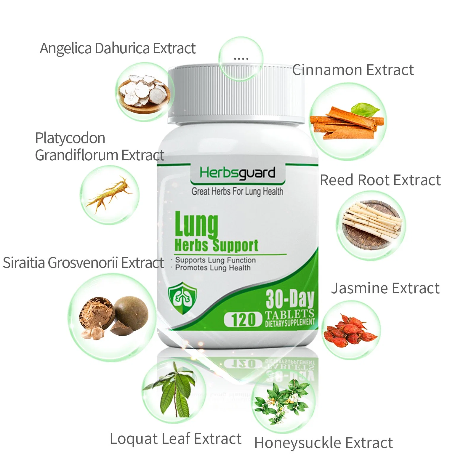 Private Label China Traditional Design Herbs Formula Lung Function Support Health Solution