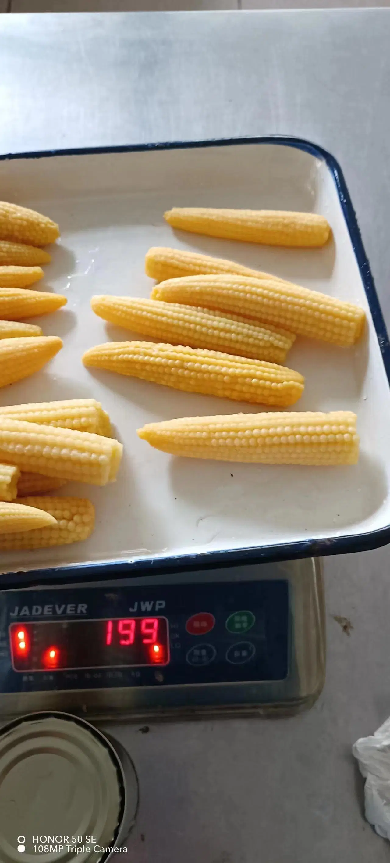 محصول جديد 2023 بيع ساخن معلب الخضار المعلبة حلوى الذرة الحلوة العميل العلامة التجارية Sweet Corn المصنع السعر