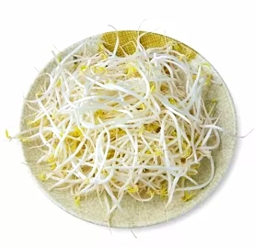 Muti Specification Organic Wholesale/Supplier Canned Green Mung Bean Sprouts in Water in Brine