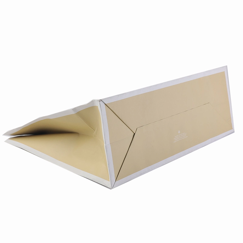 2020new Design Popular Hand Paper Bag