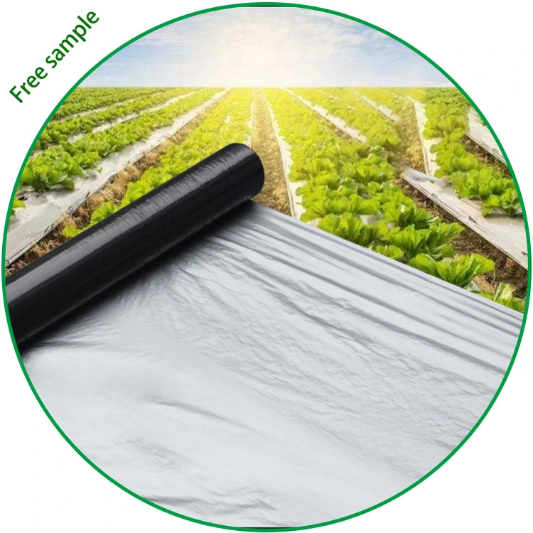 Agricultural Planting Mulching 0.02mm Silver Black Film Anti UV Mulch Film Planting Ground Cover Hot-Sale Product