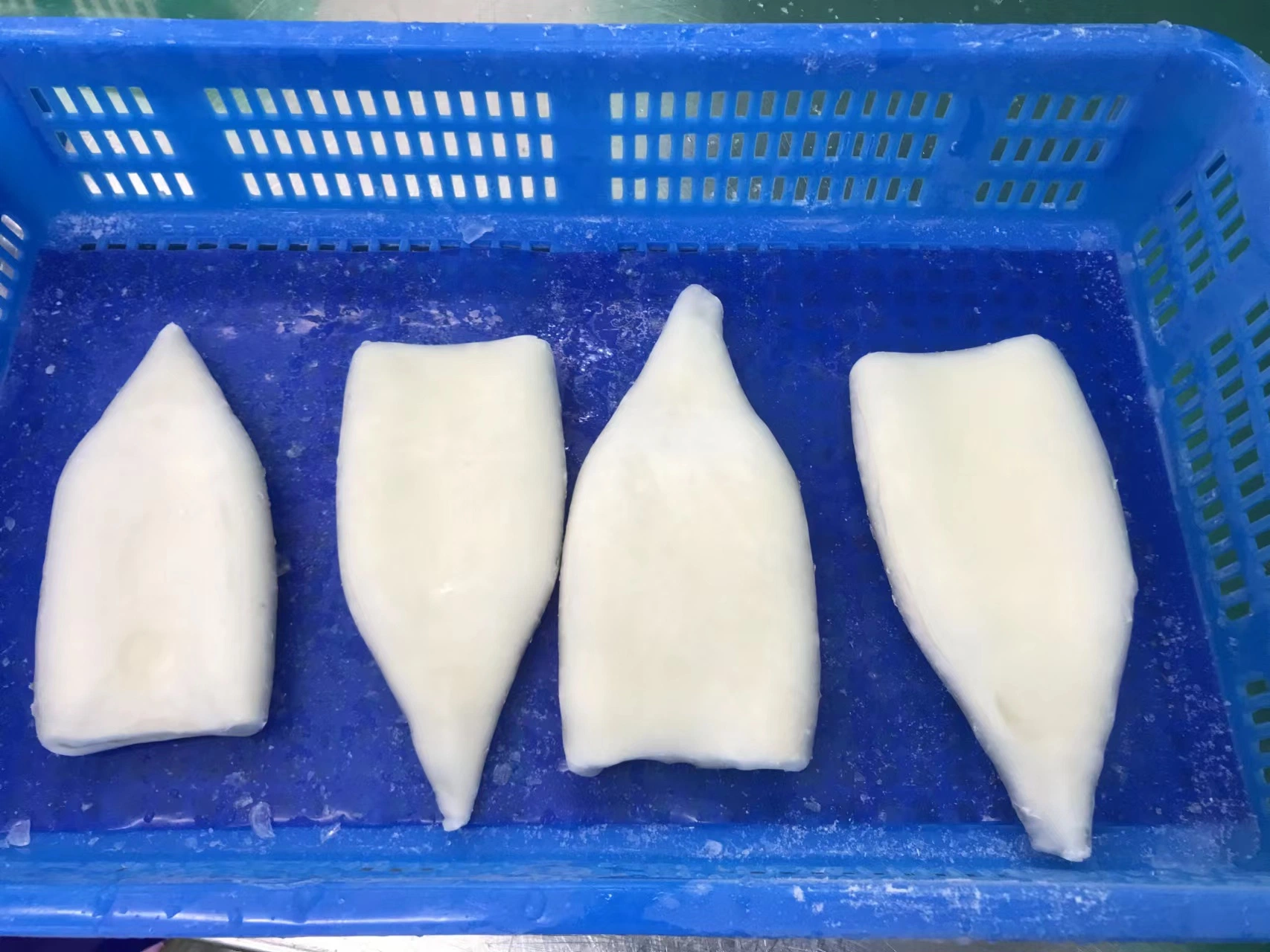 Frozen Seafood Illex Squid Tube/Calamari Tube