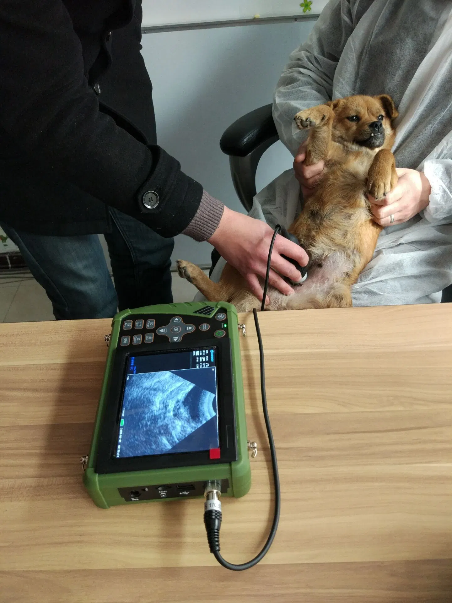 Médico de hochey digital portátil de alta calidad sonda inalámbrica máquina Doppler Ecógrafo veterinario para el animal