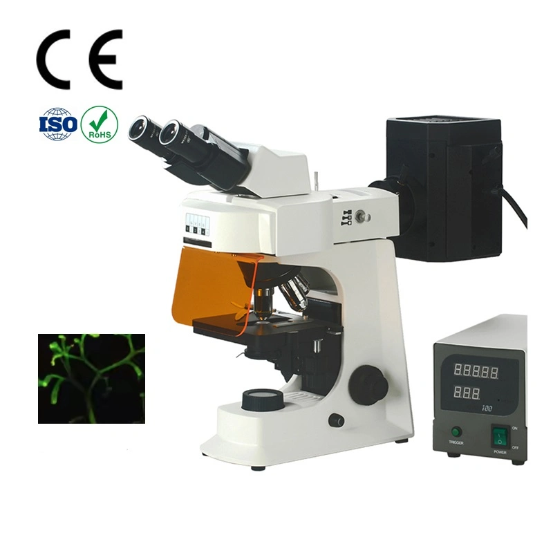 Smart-FL2 Binocular Biologic Digital Electronical Fluorescence Microscope for Lab