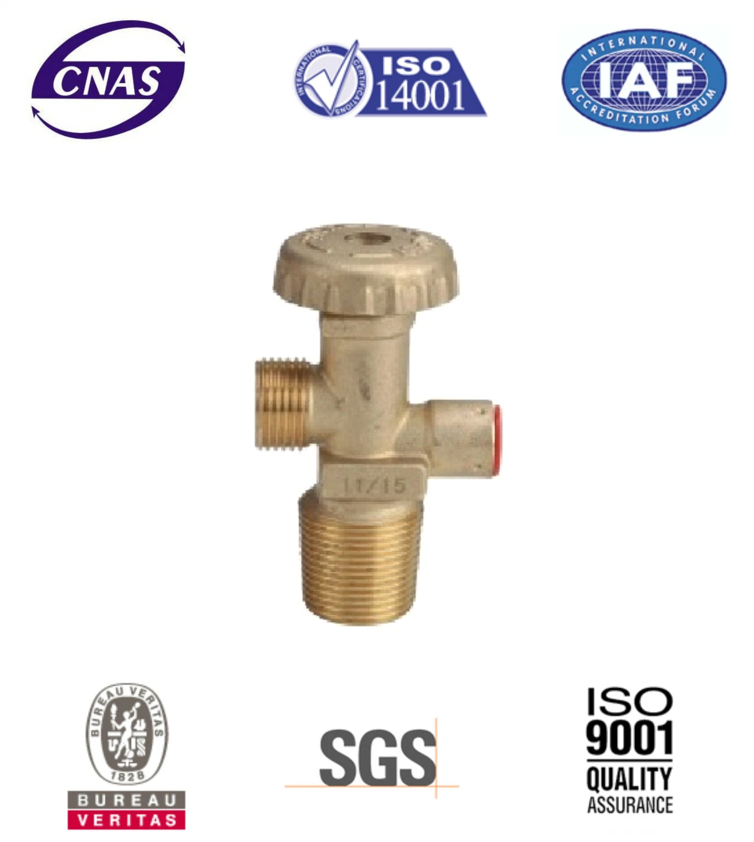 LPG Cylinder Valve - Gas Cylinder Valve (YSQ-8/8A)