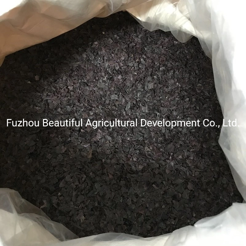 Dried Dulse Flakes/Atlantic Rhodymenia Palmata Factory Direct Sales