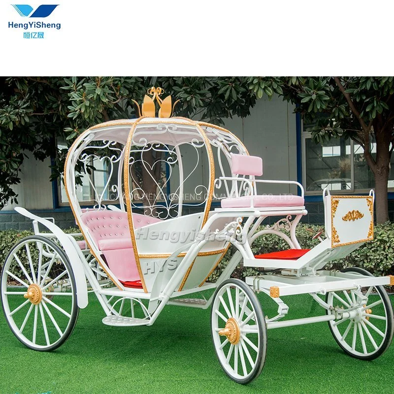 Princess Horse Carriage for Wedding/Cinderella Carriage Pony Surrey