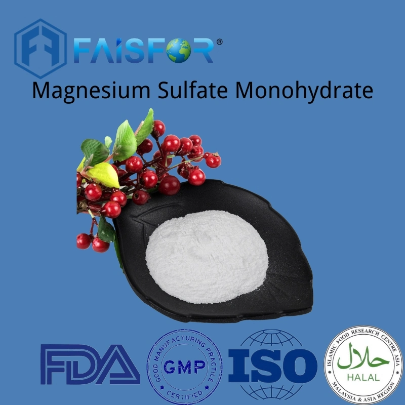 Magnesium Sulphate Magnesium Sulfate Anhydrous Magnesium Sulfate Monohydrate CAS 14168-73-1