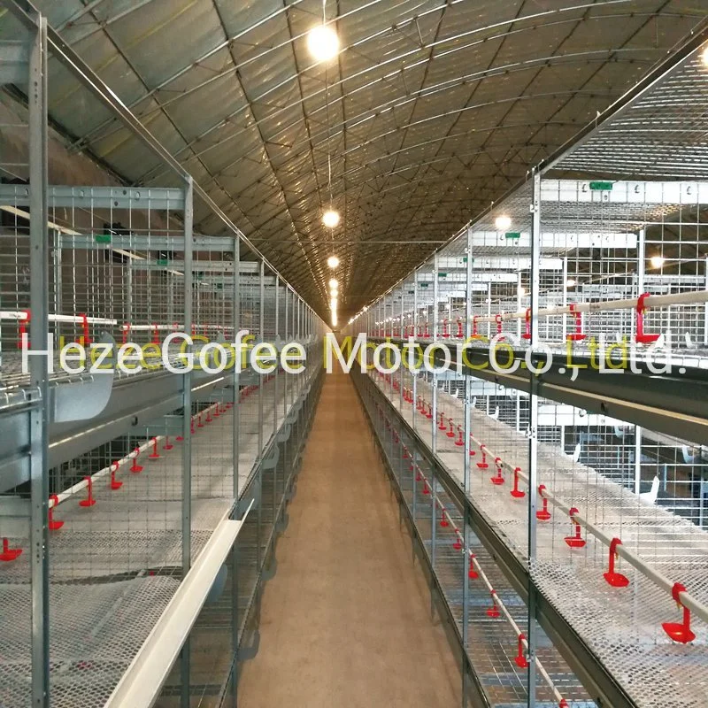 H Type Chicken Broiler Farming Equipmet Cage 4 Tiers Hot Galvanized House Quail Automatic Layer