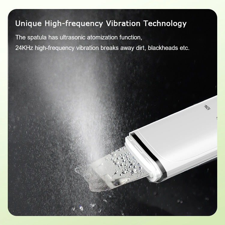 24kHz High-Frequency Ultrasonic Vibration Massage Professional Skin Scrubber with Mist