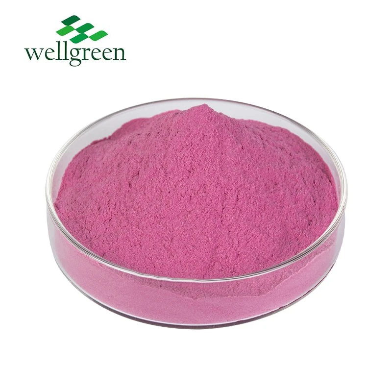 100% Natürliches Bio Frostgetrocknetes Rotes Pitaya Dragon Fruit Powder