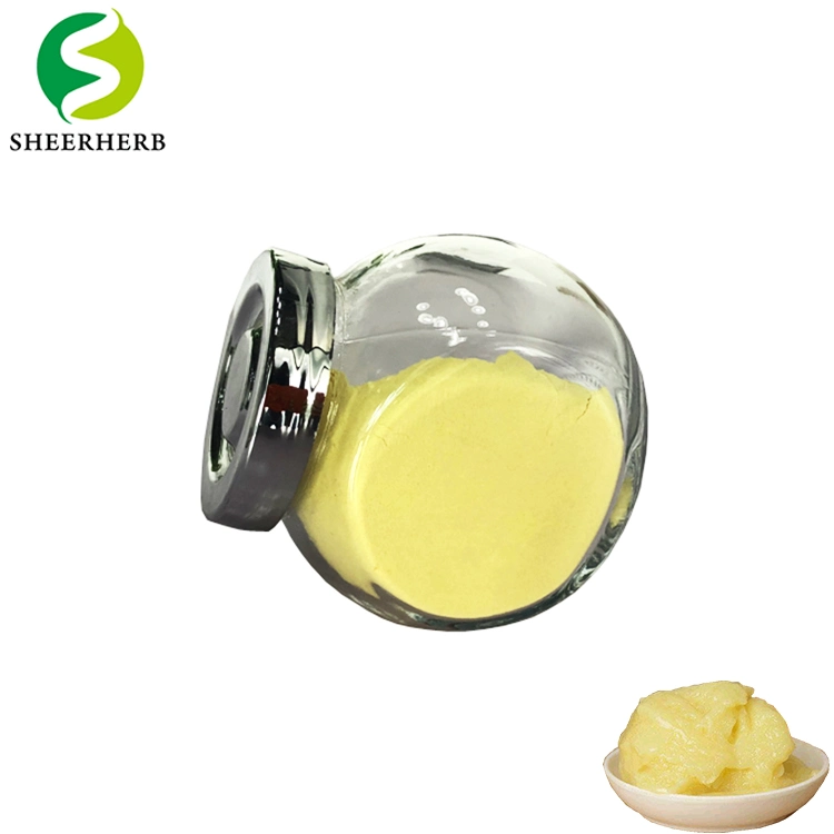 Hot Selling Bee Product Halal 10-Hda Sheerherb Royal Jelly Powder Non-GMO Pure Natural Lyophilized Royal Jelly Powder for Health Care