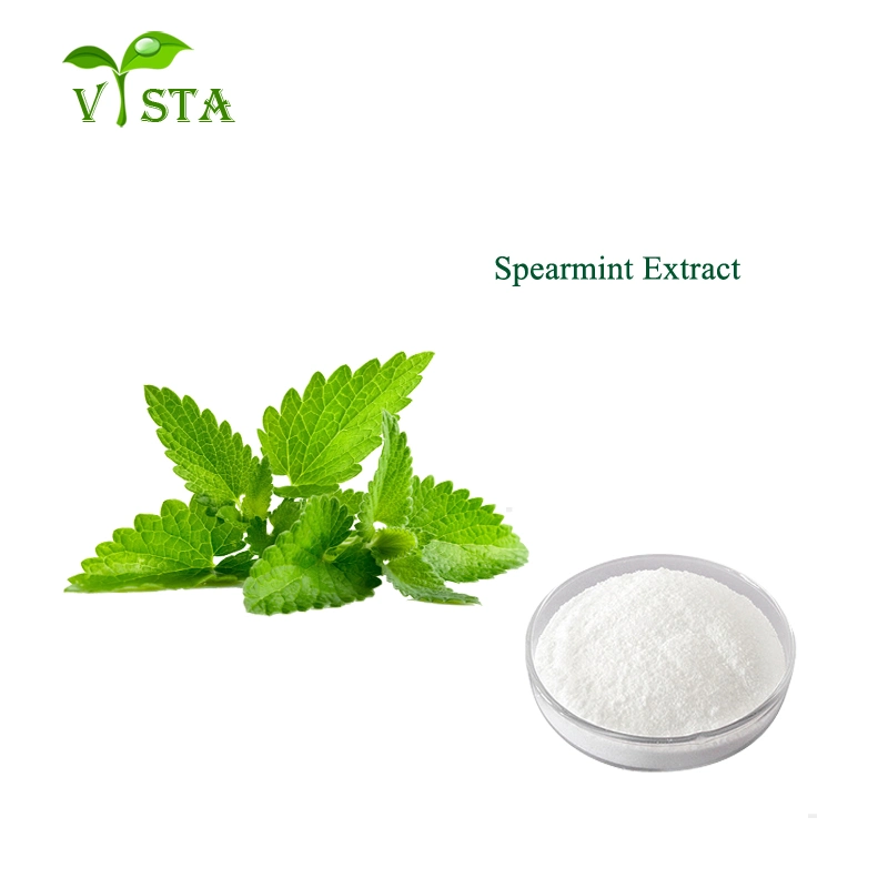 Factory Supply Plant Extract Water Soluble Mint Flavor Powder Natural Spearmint Extract Peppermint Extract