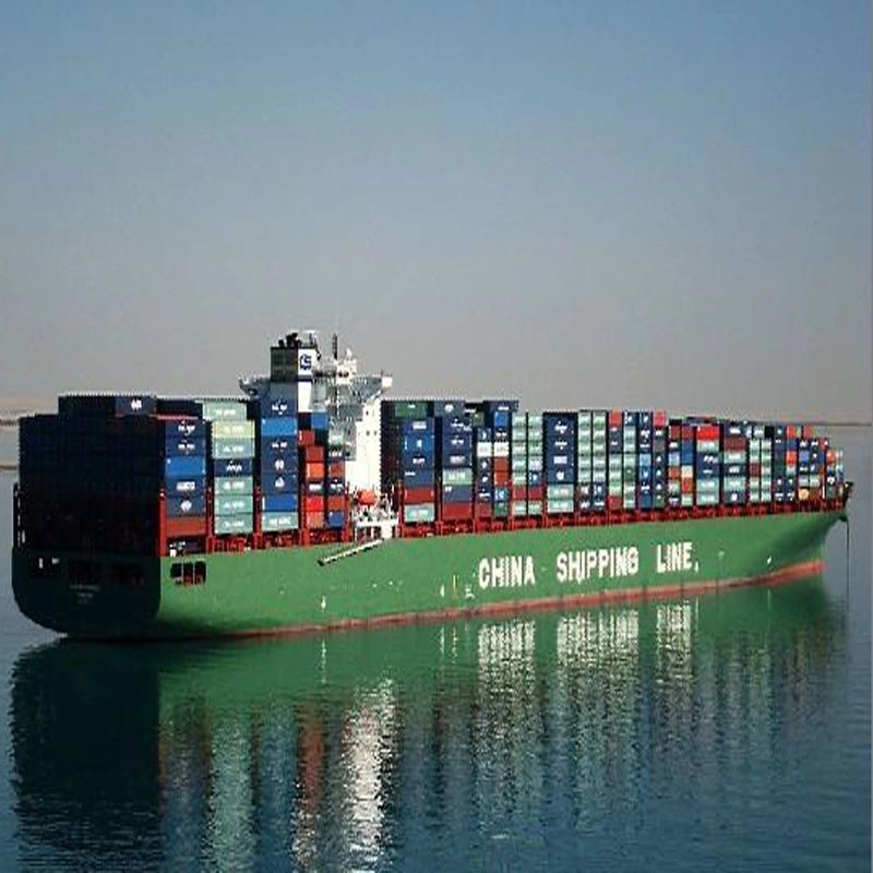 Professional Freight Forwarder From Qingdao/Tianjin/Shanghai to Chittagong