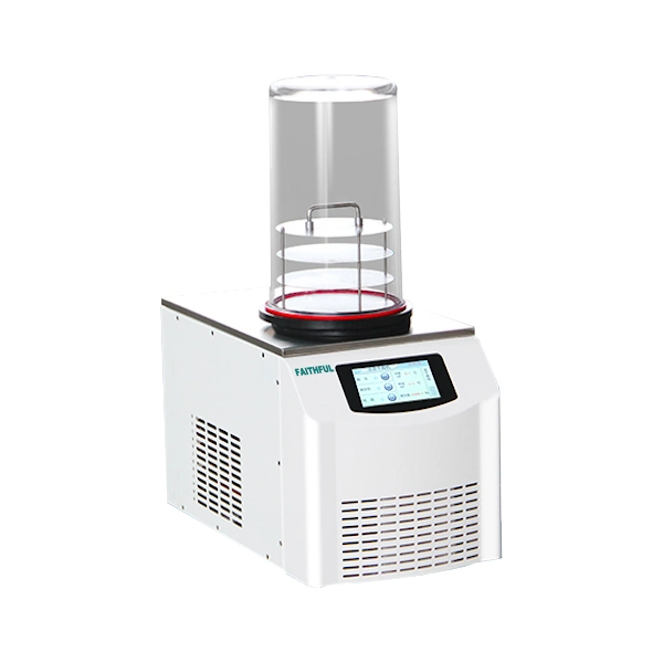 Laboratory Desktop Mini Freeze Dry System Vacuum Dryer