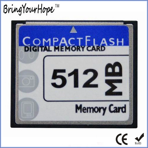 100X Compact Flash 256MB CF Memory Card (256MB CF)