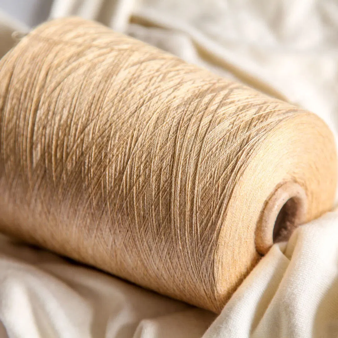 حلقة دائرية من الحرير القطني مصبوغ بفرشاة Viscose من القطن المصبوغ بطول 2/60 نانومتر الجملة المصنع