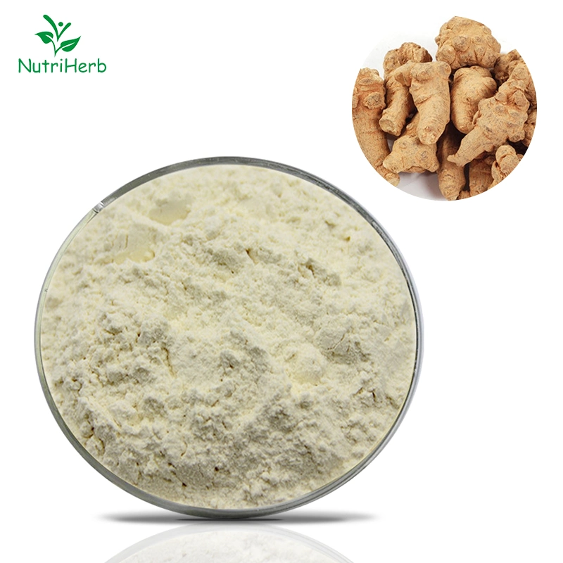 100% Pure Panax Notoginseng Root Extract Powder 80% Notoginsenoside