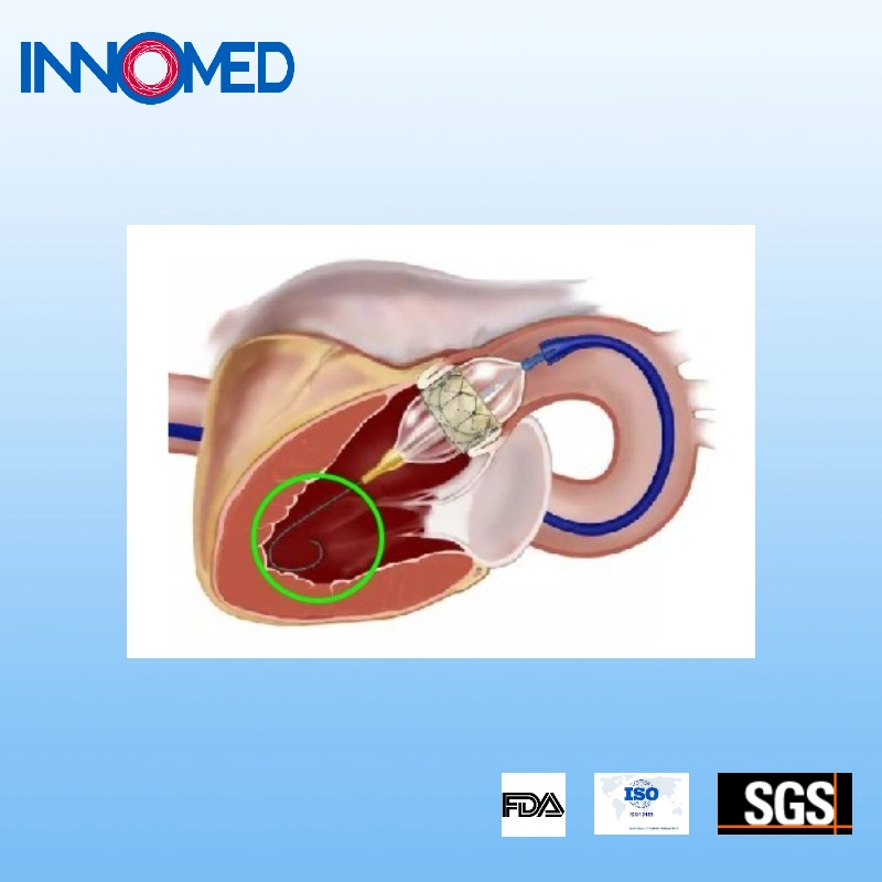 Nickeltitanium Wire Core Coronary Guidewire-Taviwire