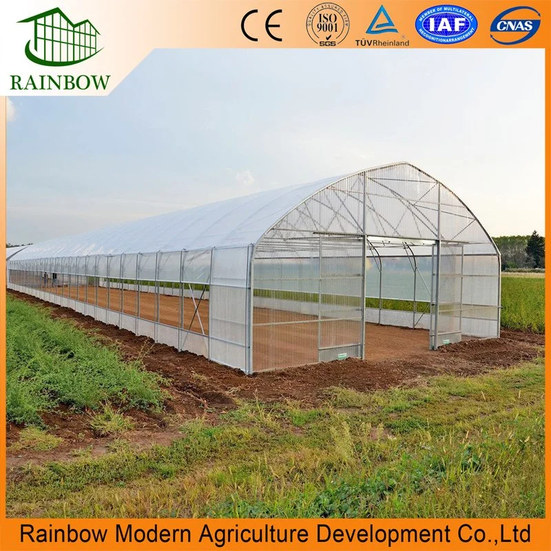 Agricultural Multi Span Plastic Film Greenhouse