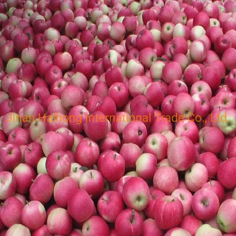 2019new Crop Chinese Apple