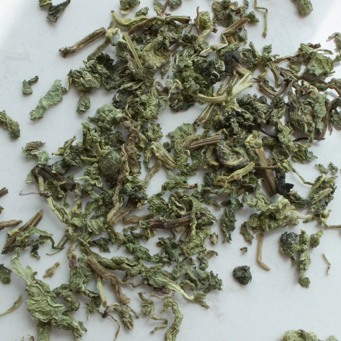 A perda de peso de chá de ervas saúde cuidados da pele Medicina Tradicional Chinesa a deixar a hortelã