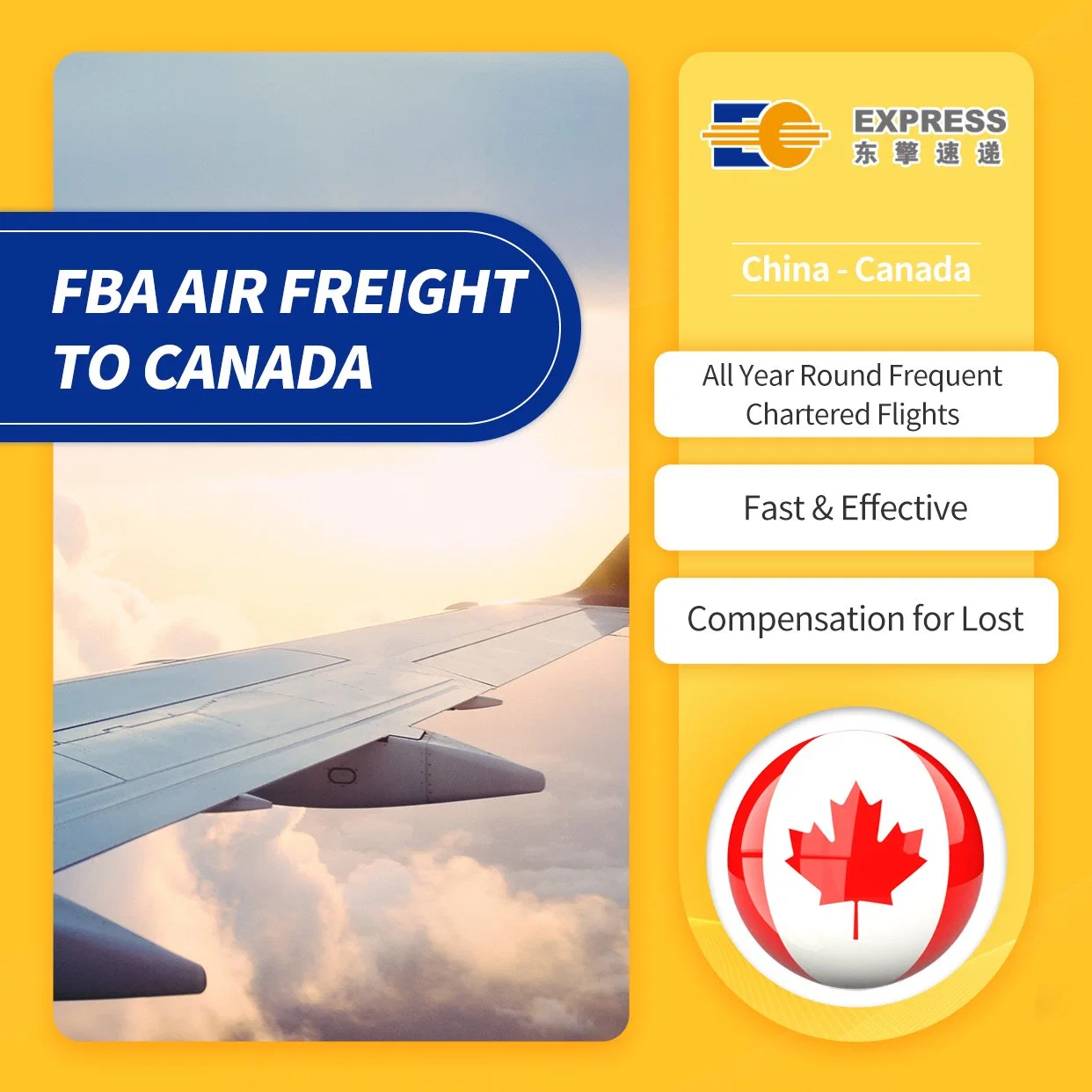 International Logistics Agent From China to Amazon Warehouse in Canada, Air Freight