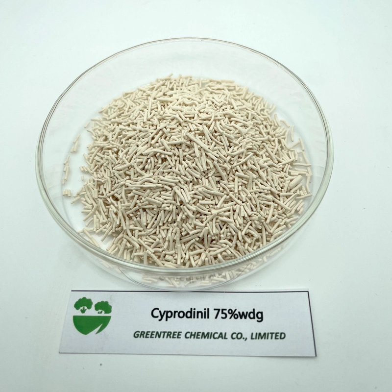 CAS № 121552-61-2 Cyprodinil гранулы противогрибковым 75% Wdg
