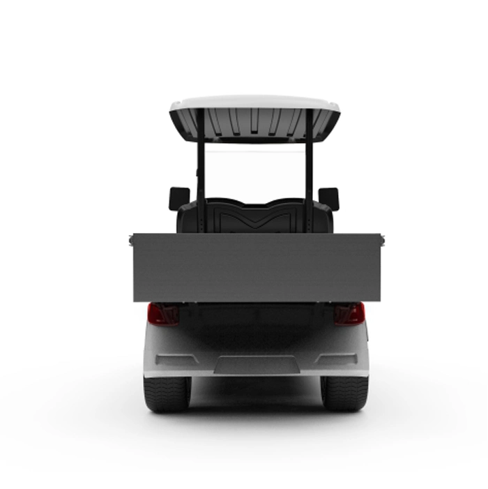 La CE aprobó la utilidad de Vehículo Utilitario eléctrico con dos asientos de carros de golf (DG-M2 + la caja de carga)