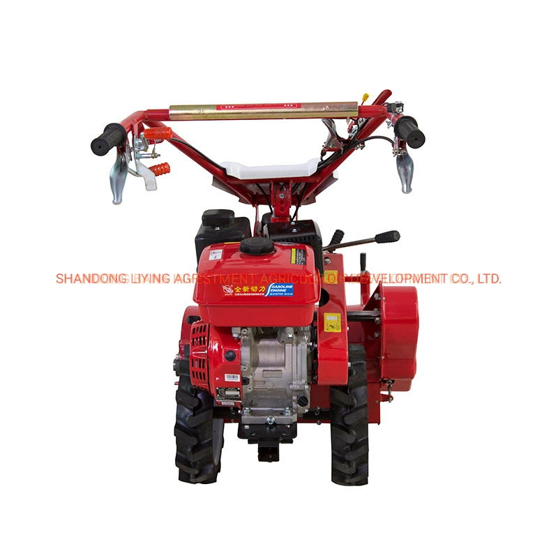 170f Gasoline Mini Power Tiller/Weeder with 40cm Width Flail Mover