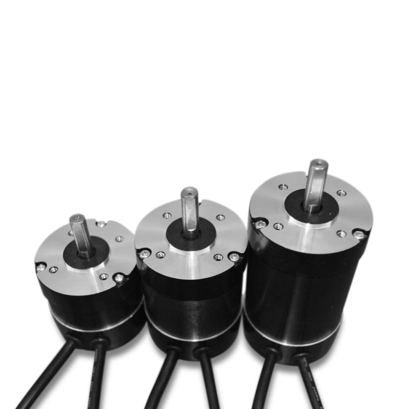 57mm 12V CC Motor sin escobillas para silla de ruedas de 8 pulgadas de alto par motor Mini certificado CE