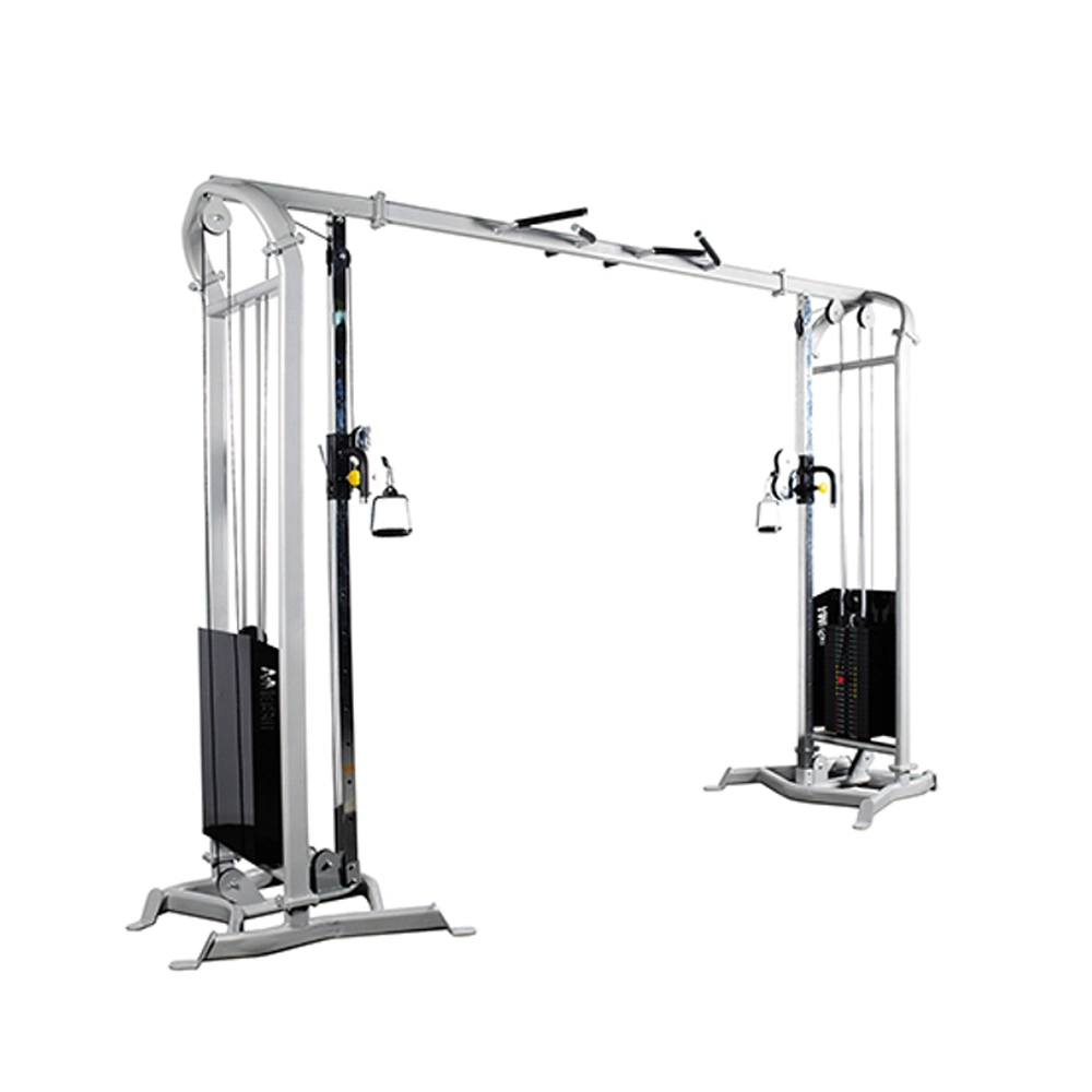 Light Business Big Bird Fitness Training Device