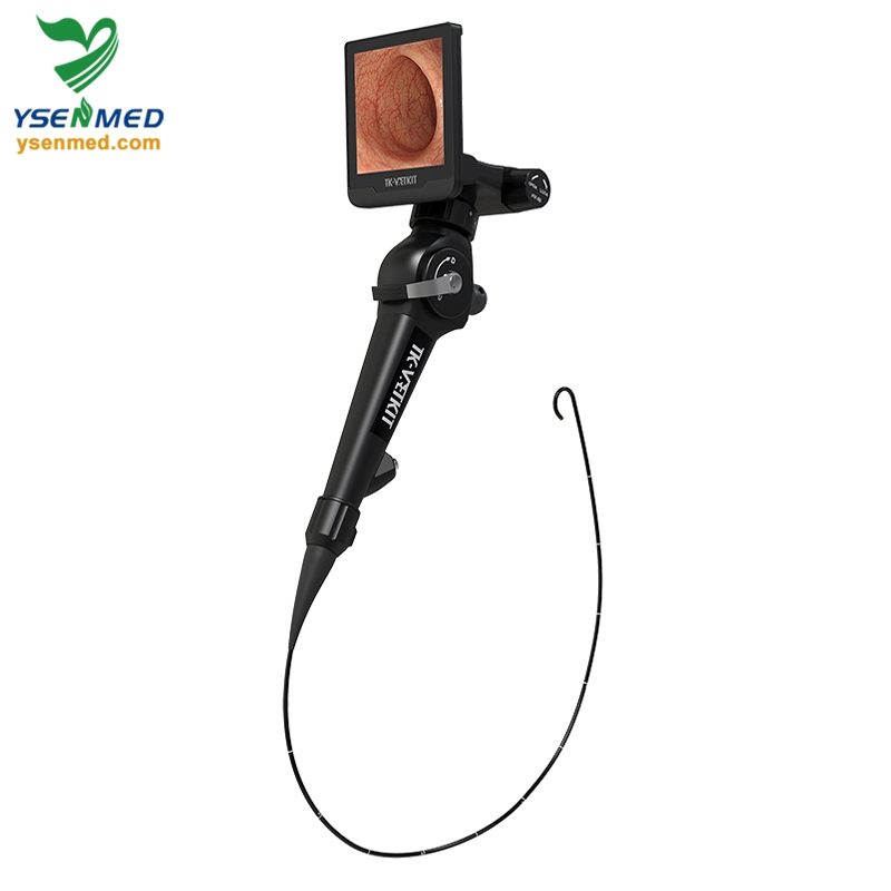 Ysvet-Ec130 1000mm with 10.1 Inch Medical Equipment Touch Screen Portable Animal Video Endoscope